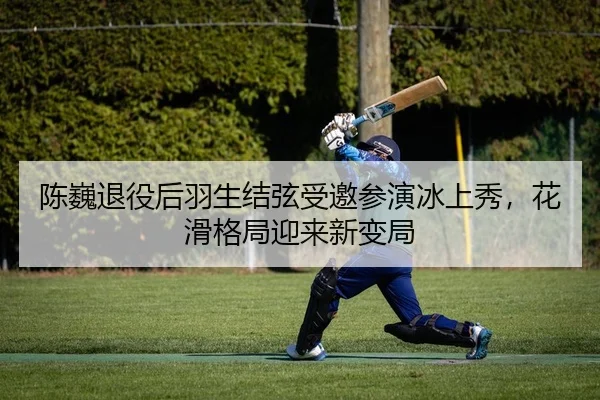 陈巍退役后羽生结弦受邀参演冰上秀，花滑格局迎来新变局