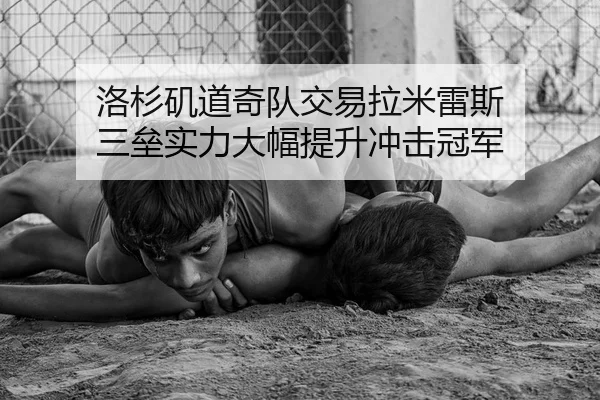 洛杉矶道奇队交易拉米雷斯 三垒实力大幅提升冲击冠军